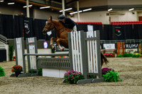 2025 - Haylee - Royal West - Saturday October 18th - 03558