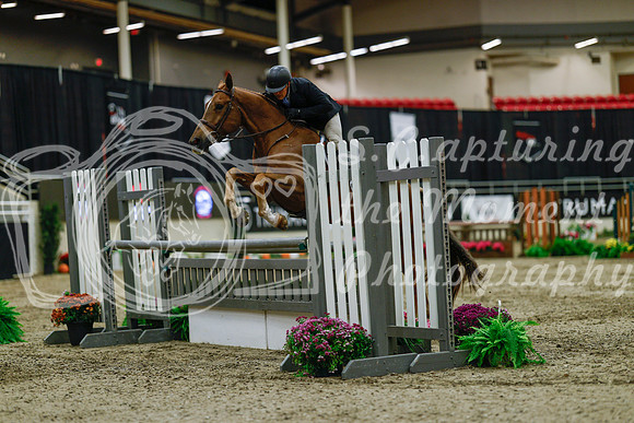 2025 - Haylee - Royal West - Saturday October 18th - 03558