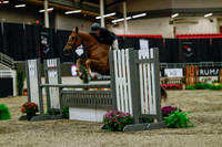 2025 - Haylee - Royal West - Saturday October 18th - 03559
