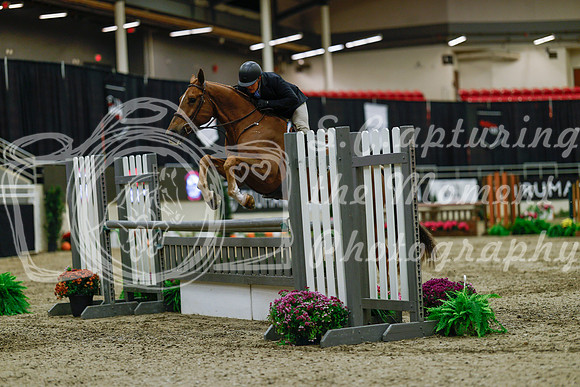 2025 - Haylee - Royal West - Saturday October 18th - 03559