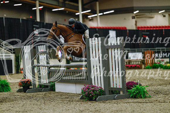 2025 - Haylee - Royal West - Saturday October 18th - 03560