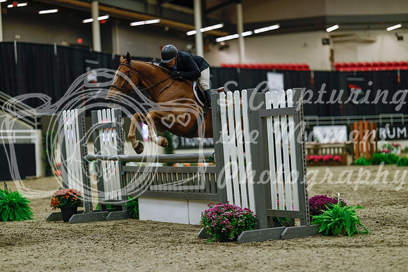 2025 - Haylee - Royal West - Saturday October 18th - 03561