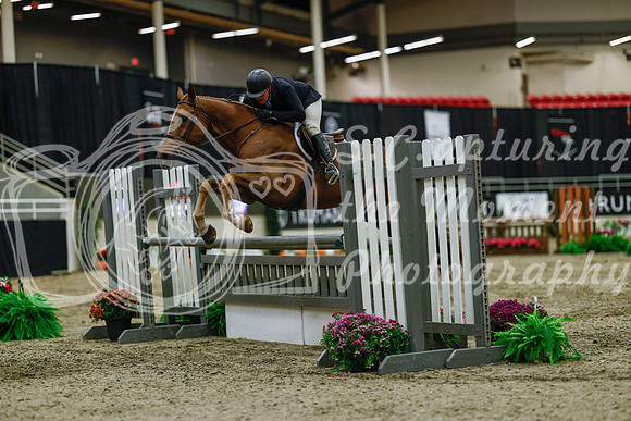 2025 - Haylee - Royal West - Saturday October 18th - 03562