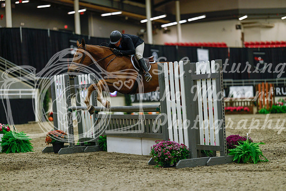 2025 - Haylee - Royal West - Saturday October 18th - 03563