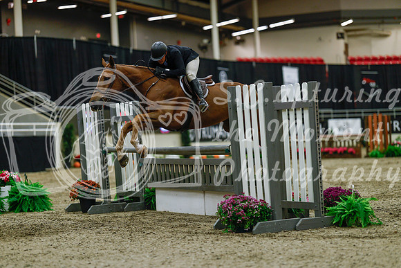 2025 - Haylee - Royal West - Saturday October 18th - 03564