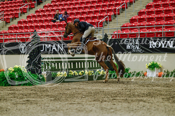 2025 - Haylee - Royal West - Saturday October 18th - 03565