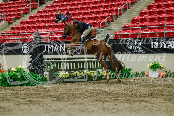 2025 - Haylee - Royal West - Saturday October 18th - 03566