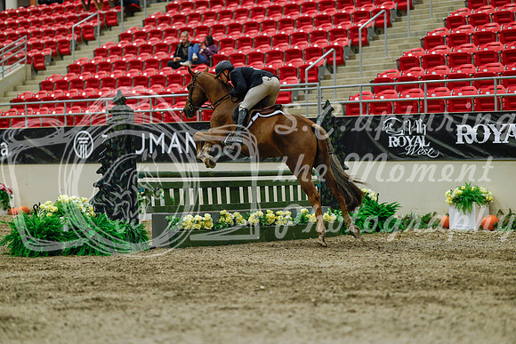 2025 - Haylee - Royal West - Saturday October 18th - 03567