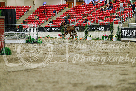 2025 - Haylee - Royal West - Saturday October 18th - 03568