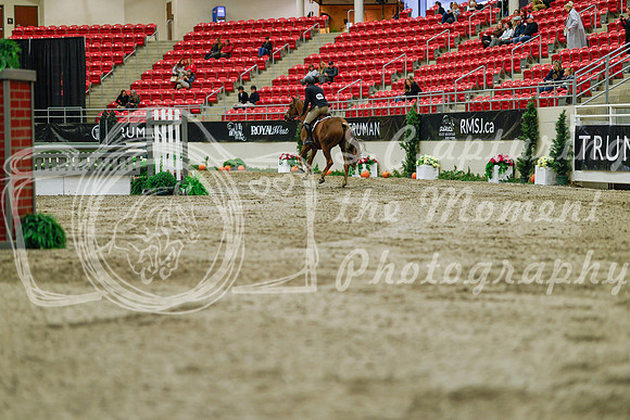 2025 - Haylee - Royal West - Saturday October 18th - 03570