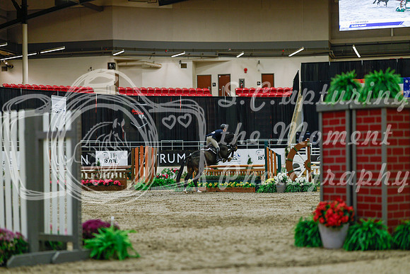 2025 - Haylee - Royal West - Saturday October 18th - 03441