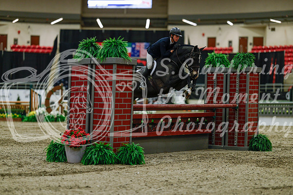 2025 - Haylee - Royal West - Saturday October 18th - 03444