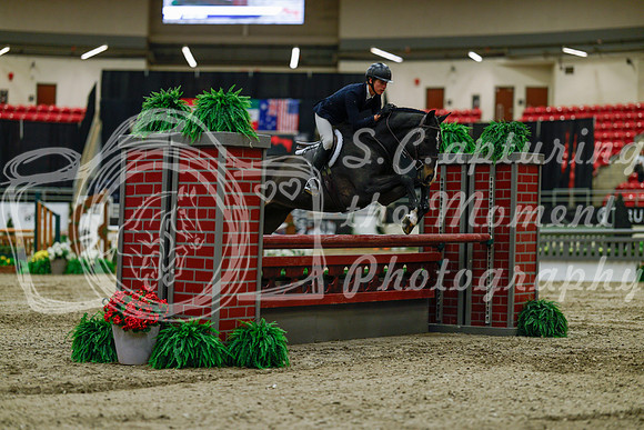 2025 - Haylee - Royal West - Saturday October 18th - 03446