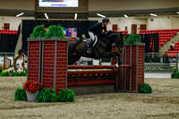 2025 - Haylee - Royal West - Saturday October 18th - 03448