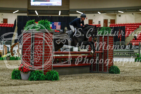 2025 - Haylee - Royal West - Saturday October 18th - 03448