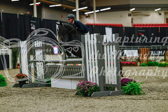 2025 - Haylee - Royal West - Saturday October 18th - 03450