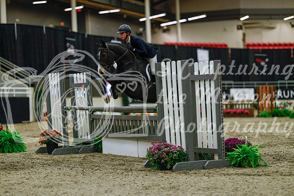 2025 - Haylee - Royal West - Saturday October 18th - 03452