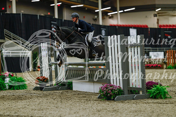 2025 - Haylee - Royal West - Saturday October 18th - 03455