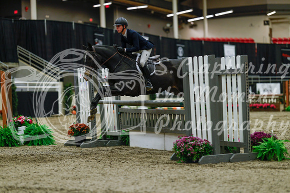 2025 - Haylee - Royal West - Saturday October 18th - 03457