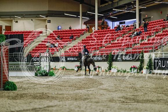 2025 - Haylee - Royal West - Saturday October 18th - 03458
