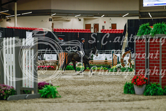 2025 - Haylee - Royal West - Saturday October 18th - 03459