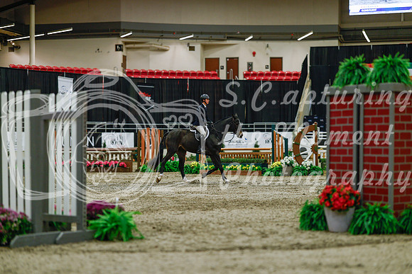 2025 - Haylee - Royal West - Saturday October 18th - 03461