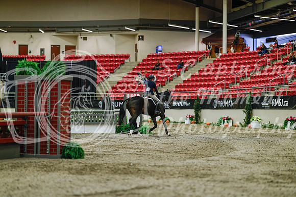 2025 - Haylee - Royal West - Saturday October 18th - 03462