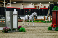 2025 - Haylee - Royal West - Saturday October 18th - 03221