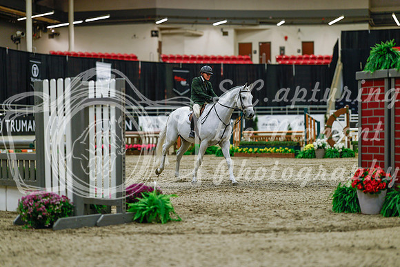 2025 - Haylee - Royal West - Saturday October 18th - 03221