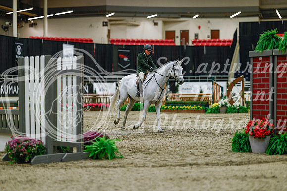 2025 - Haylee - Royal West - Saturday October 18th - 03223
