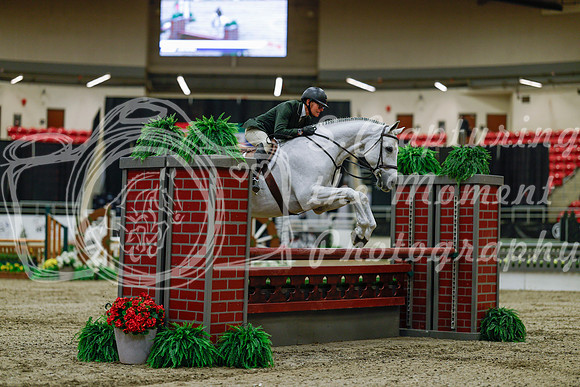 2025 - Haylee - Royal West - Saturday October 18th - 03224