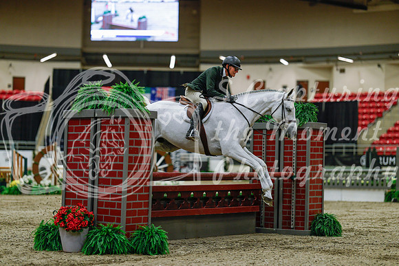 2025 - Haylee - Royal West - Saturday October 18th - 03228