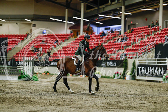 2025 - Haylee - Royal West - Saturday October 18th - 03469