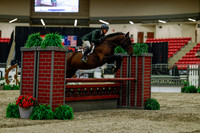 2025 - Haylee - Royal West - Saturday October 18th - 03472