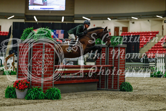 2025 - Haylee - Royal West - Saturday October 18th - 03472