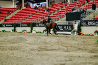 2025 - Haylee - Royal West - Saturday October 18th - 03485