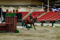 2025 - Haylee - Royal West - Saturday October 18th - 03486