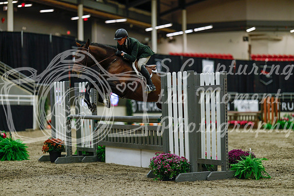 2025 - Haylee - Royal West - Saturday October 18th - 03577