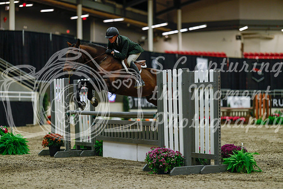 2025 - Haylee - Royal West - Saturday October 18th - 03578