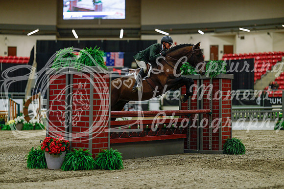2025 - Haylee - Royal West - Saturday October 18th - 03581