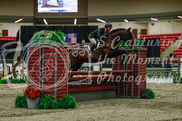 2025 - Haylee - Royal West - Saturday October 18th - 03582