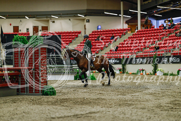 2025 - Haylee - Royal West - Saturday October 18th - 03585