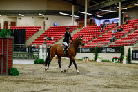 2025 - Haylee - Royal West - Saturday October 18th - 03364