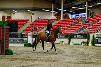 2025 - Haylee - Royal West - Saturday October 18th - 03365