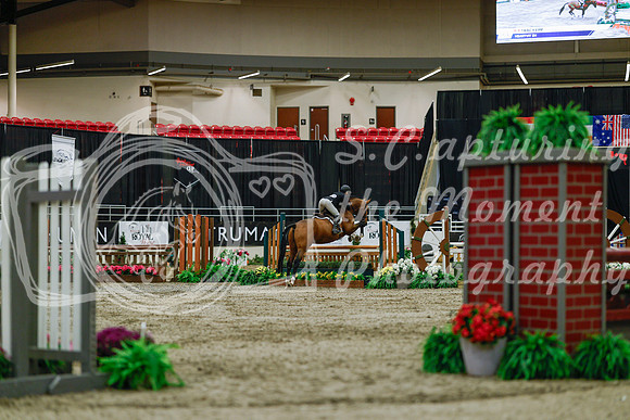 2025 - Haylee - Royal West - Saturday October 18th - 03368