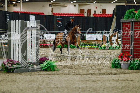 2025 - Haylee - Royal West - Saturday October 18th - 03369