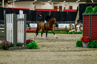 2025 - Haylee - Royal West - Saturday October 18th - 03370