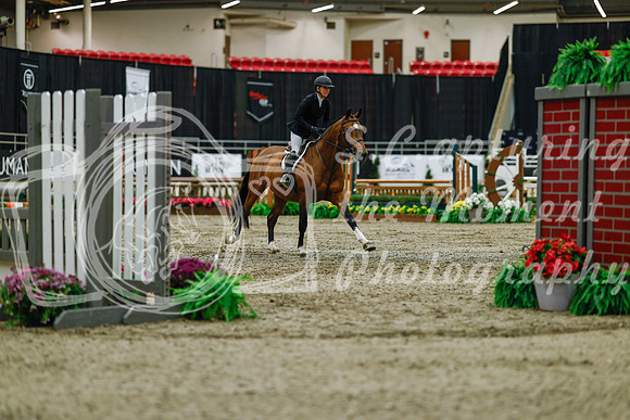 2025 - Haylee - Royal West - Saturday October 18th - 03370