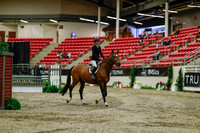 2025 - Haylee - Royal West - Saturday October 18th - 03367