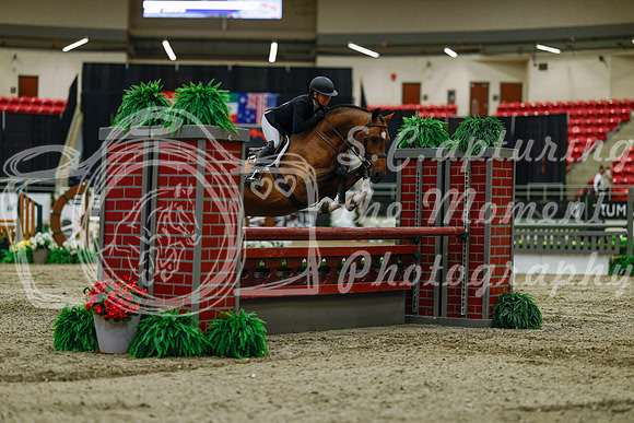 2025 - Haylee - Royal West - Saturday October 18th - 03371